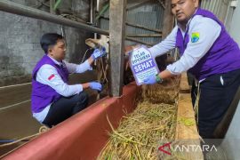 Cianjur pastikan pemenuhan kebutuhan hewan terpenuhi dari lokal