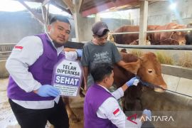 DPKHP Cianjur kerahkan 34 petugas periksa kelayakan daging kurban