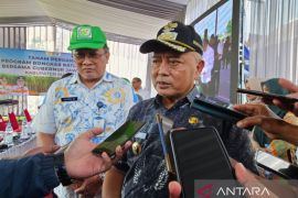 Pemkab Malang target bongkar ratoon 7.500 ha dukung swasembada