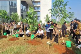 DLHK Depok sebut Taman Keanekaragaman Hayati UIII bisa menjadi kawasan ekowisata