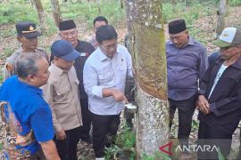 Wamentrans siap perjuangkan pupuk subsidi untuk petani karet