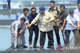 Presiden Prabowo tinjau panen raya udang di Tambak Budidaya Kebumen