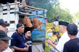 Pemkab Situbondo tata ulang pasar hewan untuk kenyamanan pedagang
