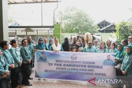 PKK Mimika serahkan sapi kurban kepada Yayasan Arrahmah Papua