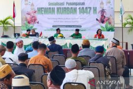 MUI-Pemkab Nabire gelar edukasi pengelolaan hewan kurban