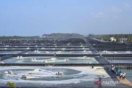 Prabowo guarantees food self-sufficiency amid geopolitical tensions