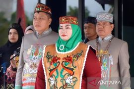 Wabup Kotim minta Pemprov Kalteng perjuangkan nasib petani sawit