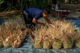 Pemkot Tangerang imbau panitia siapkan kemasan kurban ramah lingkungan