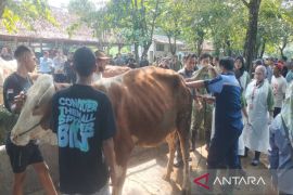 DP3 Sleman optimistis kekurangan 5.381 hewan kurban dapat terpenuhi