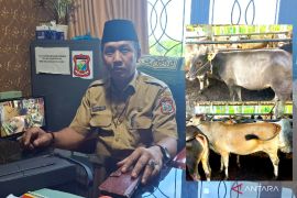 Idul Adha 1447 H, Pemkot Tanjungbalai siapkan 17 hewan kurban ASN