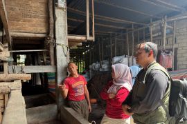 Pemkab Solok monitoring ketersediaan harga jual sapi qurban jelang Idul Adha