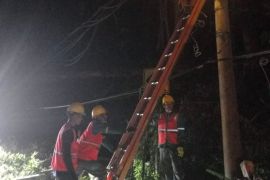 PLN Lampung pulihkan pasokan listrik hingga ke masyarakat