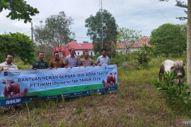 Pemkab Bangka Selatan bersama mitra CSR salurkan 100 hewan kurban