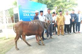 ITDC menyalurkan puluhan hewan kurban untuk warga di Mandalika