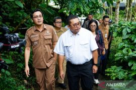 Program upland Kementan tingkatkan produktivitas kopi di Magelang