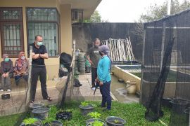 Aksi "3 in 1" siasati keterbatasan lahan pertanian di Palembang