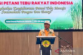 APTRI usulkan HPP gula jadi Rp16.875 per kg demi gairahkan petani