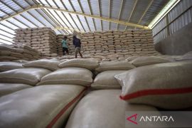 Beras melimpah! Bulog dorong kapasitas gudang hingga tujuh juta ton