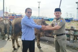 PT JOE salurkan hewan kurban untuk warga Kepulauan Seribu