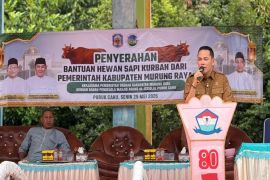 Masjid Agung Al-Istiqlal di Murung Raya salurkan 40 ekor sapi kurban
