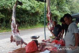 Distan: Persediaan daging tradisi meugang di Aceh Selatan mencukupi