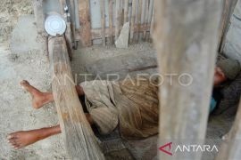 Kemenkes: 1.443 kasus pemasungan orang penderita psikosis selama 2026