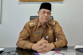 Babel bentuk timsus tangani sapi kurban Presiden Prabowo