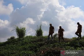Banjarmasin greens former Basirih landfill