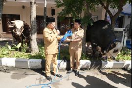 Mendagri serahkan hewan kurban Kemendagri-BNPP untuk masyarakat