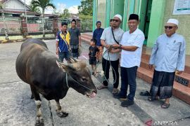 Bantuan Hewan Kurban Pemkab Bulungan Berasal dari Peternak Lokal