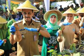 Jaksel panen 1,1 ton labu madu untuk kuatkan pertanian perkotaan