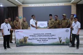 SMBR salurkan 17 sapi kurban untuk di tiga wilayah operasional