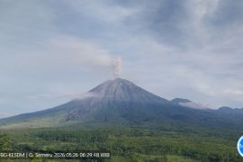 Semeru alami erupsi lima kali dengan tinggi letusan hingga 1.000 meter