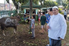 Masjid Agung Palembang bagikan 2.000 kupon daging kurban