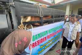 Cirebon: Sapi dari presiden bantu penuhi kebutuhan daging kurban