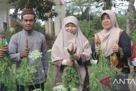 Bangka Tengah petakan potensi budi daya wortel sebagai komoditas baru