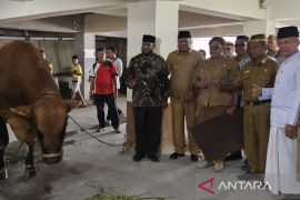 Pemprov Papua serahkan 15 hewan kurban kepada lembaga keagamaan