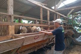 Jateng miliki 700 juru sembelih