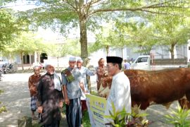 Anggota DPR menyalurkan sapi 1 ton untuk warga di Lombok Tengah
