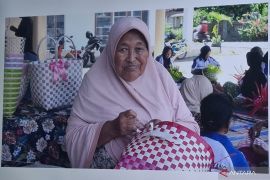 Bonus Demografi, Program Sidaya jadi andalan wujudkan lansia produktif