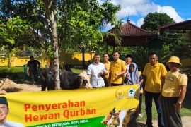 Anggota Komisi IV DPR Rycko serahkan bantuan hewan kurban ke DPD Golkar Pesawaran