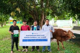 Chandra Asri salurkan 98 hewan kurban untuk masyarakat di sekitar perusahaan
