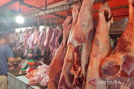 POGI: Konsumsi daging merah berpengaruh pada kualitas embrio