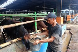Pemkot Jaktim imbau warga jaga kebersihan saat penyembelihan kurban