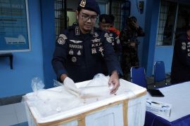 PSDKP Pesawaran gagalkan penyelundupan benih lobster
