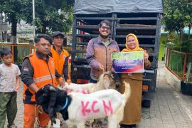 PT KCN Salurkan 33 Hewan Kurban untuk Masyarakat dan Pemangku Kepentingan di Cilincing dan Marunda
