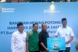 Ini jumlah hewan kurban yang disiapkan BSI, termasuk untuk wilayah 3T