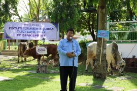 Pemkab Kulon Progo mengimbau minimalkan plastik saat bagi daging kurban