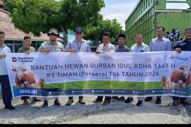 Warga Bangka Barat antusias terima 39 hewan kurban PT Timah