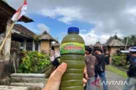Upaya Desa Penglipuran kembangkan Loloh Cemcem untuk dongkrak ekonomi